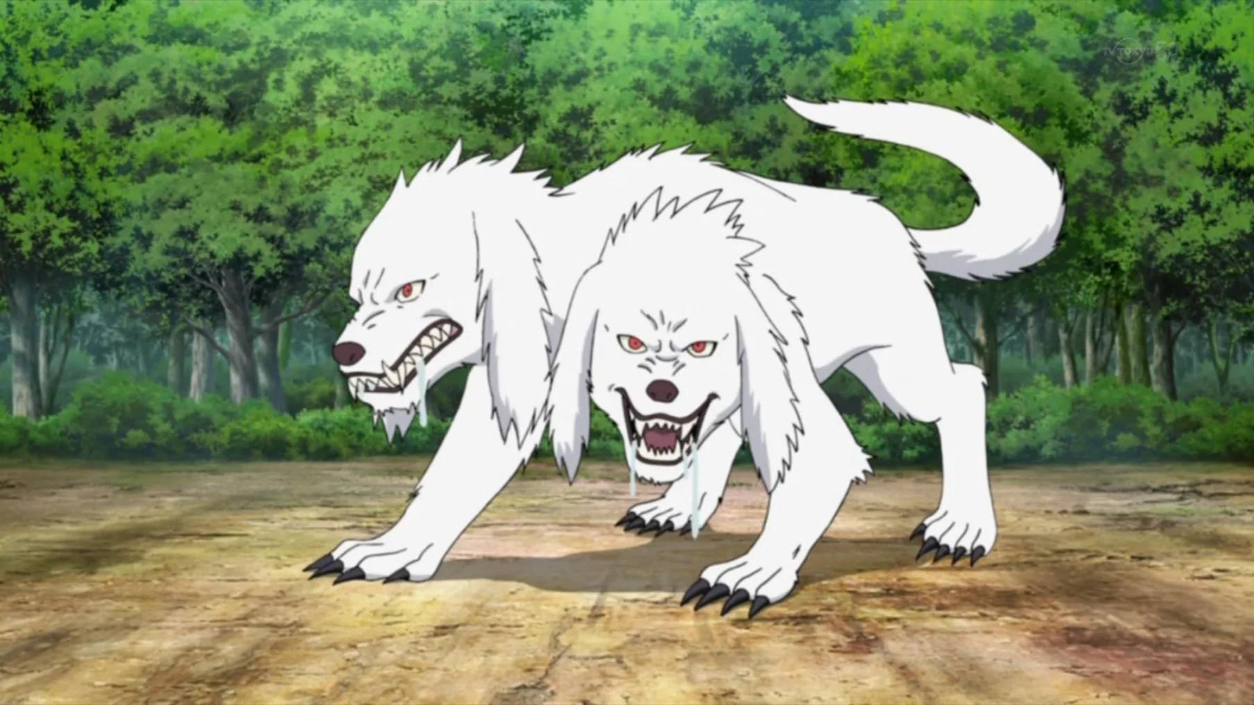Transformation Combinée de l'Homme-Bête : Loup à Deux Têtes