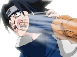 Leaf Whirlwind, Avatar
