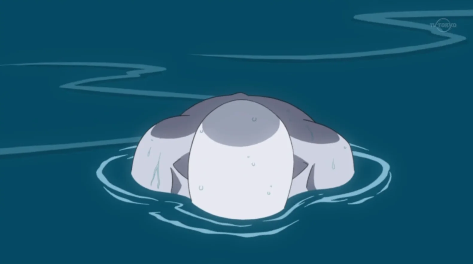 수화 — 기술, 애니메이션, 5